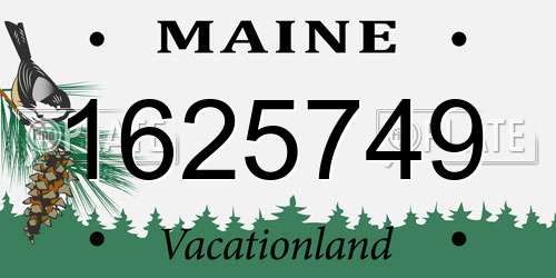 1625749 Maine License Plate