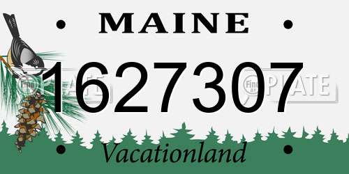 1627307 Maine License Plate