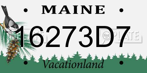 16273D7 Maine License Plate