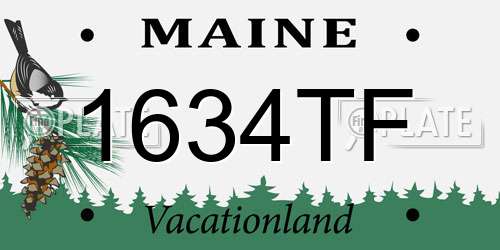 1634TF Maine License Plate