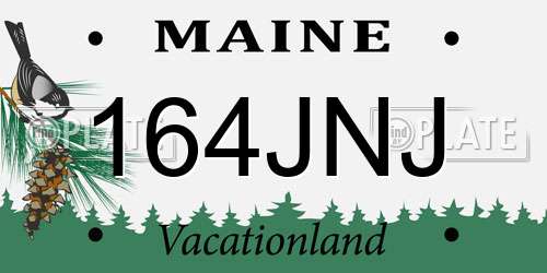 164JNJ Maine License Plate