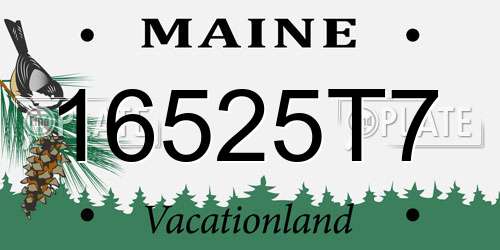 16525T7 Maine License Plate