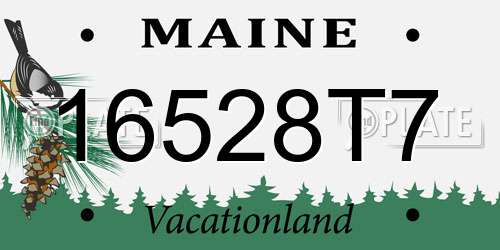16528T7 Maine License Plate