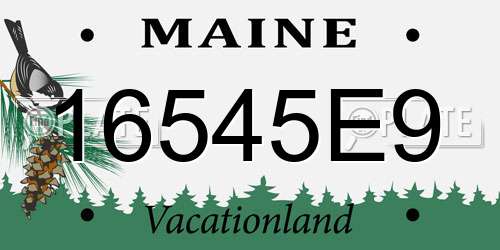 16545E9 Maine License Plate