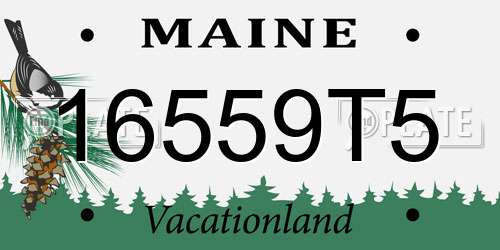 16559T5 Maine License Plate