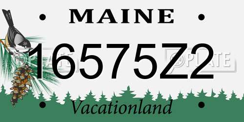 16575Z2 Maine License Plate