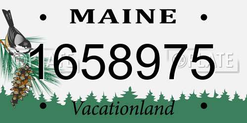 1658975 Maine License Plate