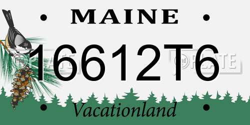 16612T6 Maine License Plate