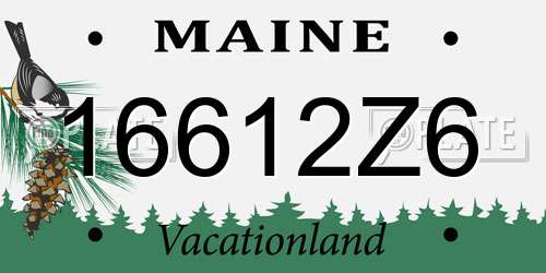 16612Z6 Maine License Plate