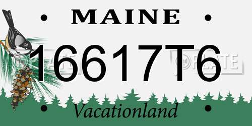 16617T6 Maine License Plate