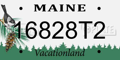 16828T2 Maine License Plate