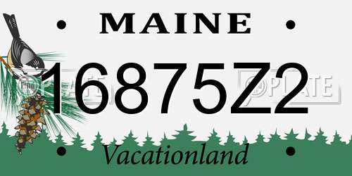 16875Z2 Maine License Plate