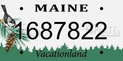 1687822 Maine License Plate