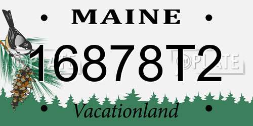 16878T2 Maine License Plate