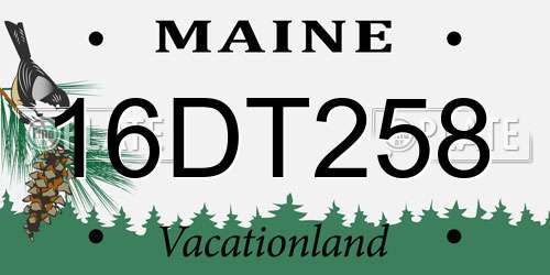 16DT258 Maine License Plate