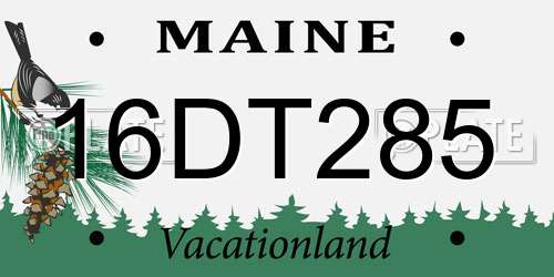 16DT285 Maine License Plate