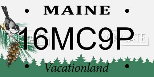 16MC9P Maine License Plate