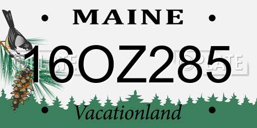 16OZ285 Maine License Plate