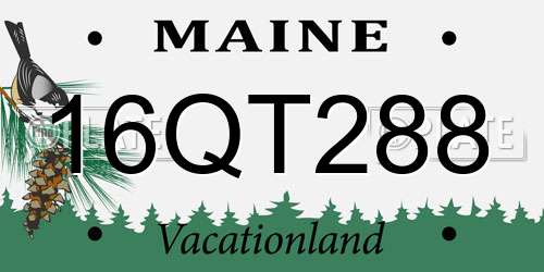 16QT288 Maine License Plate