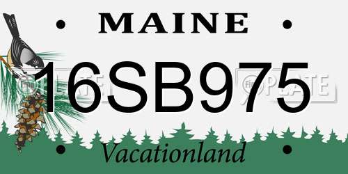 16SB975 Maine License Plate