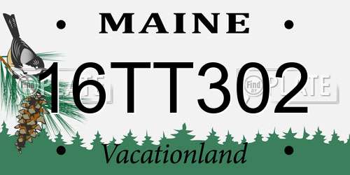 16TT302 Maine License Plate