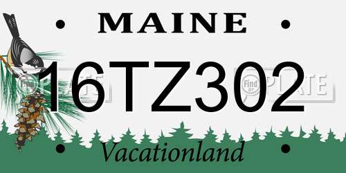 16TZ302 Maine License Plate