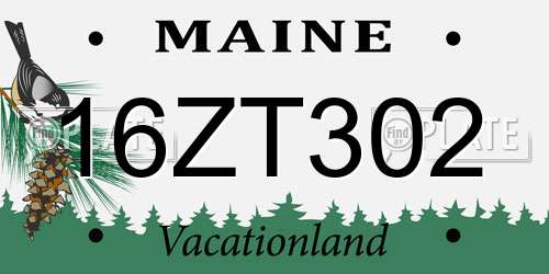 16ZT302 Maine License Plate