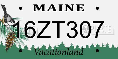 16ZT307 Maine License Plate