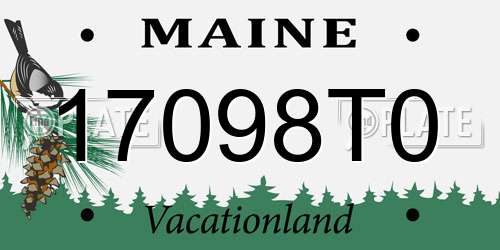 17098T0 Maine License Plate