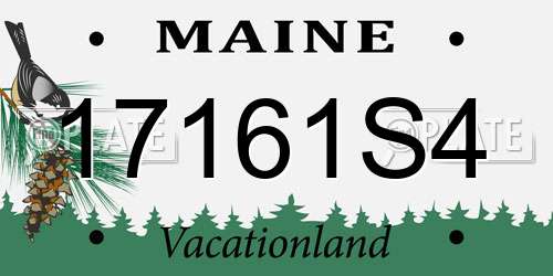 17161S4 Maine License Plate