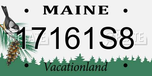17161S8 Maine License Plate