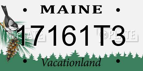 17161T3 Maine License Plate