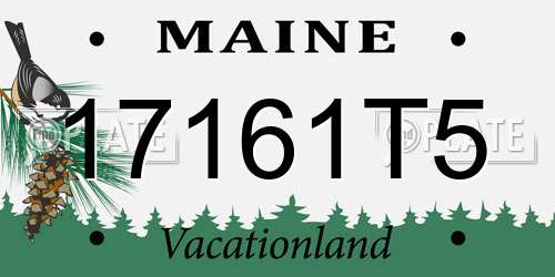 17161T5 Maine License Plate