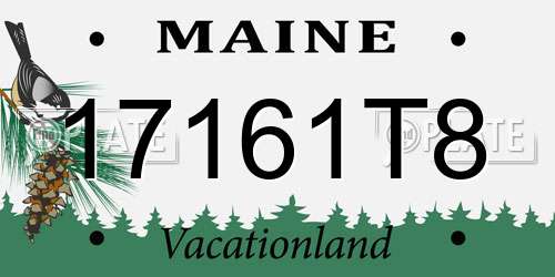 17161T8 Maine License Plate