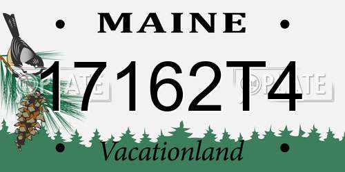 17162T4 Maine License Plate
