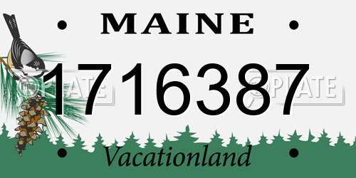 1716387 Maine License Plate