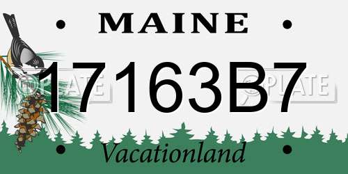 17163B7 Maine License Plate