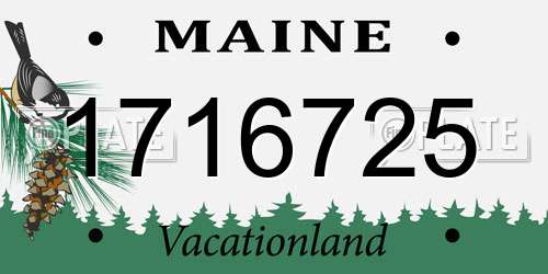 1716725 Maine License Plate