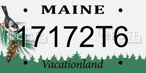 17172T6 Maine License Plate