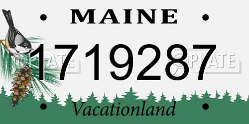 1719287 Maine License Plate