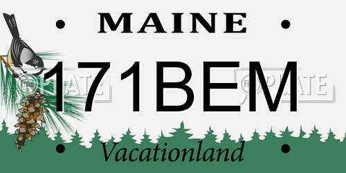 171BEM Maine License Plate