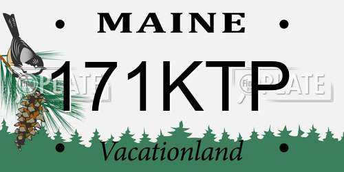 171KTP Maine License Plate