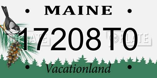 17208T0 Maine License Plate
