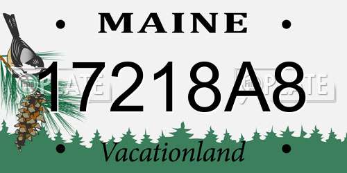 17218A8 Maine License Plate
