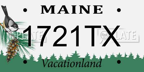 1721TX Maine License Plate