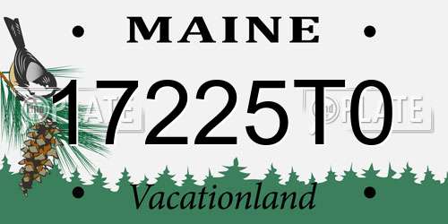 17225T0 Maine License Plate