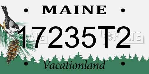 17235T2 Maine License Plate