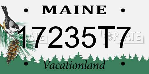 17235T7 Maine License Plate