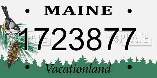 1723877 Maine License Plate