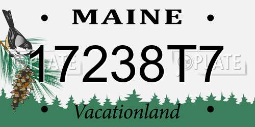 17238T7 Maine License Plate